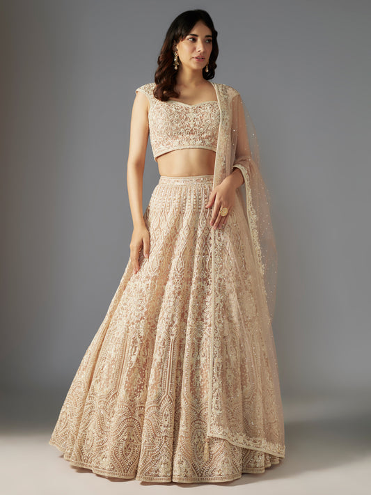 Nude Mandala Net Embroidered Lehenga Set