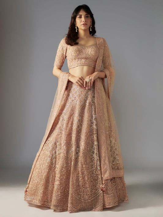 Nude Hand Embroidered Lehenga Set