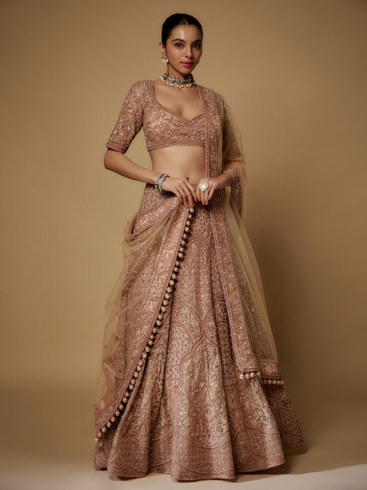 Nude Lehenga Set in Net with Hand Embroidery