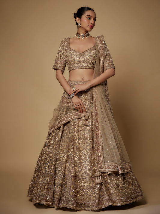 Beige Net Embroidered Lehenga Set with Embroidered Dupatta