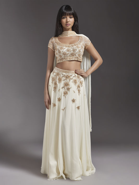 Ivory Net Light Embroidered Floral Lehenga Set with Choker