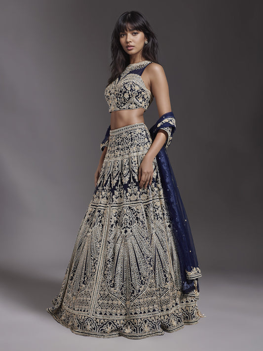 Navy Embroidered Net Lehenga Set