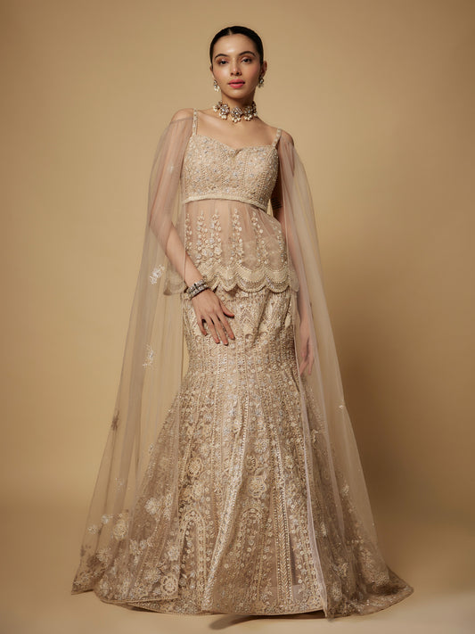 Beige Net Embroidered Lehenga Set